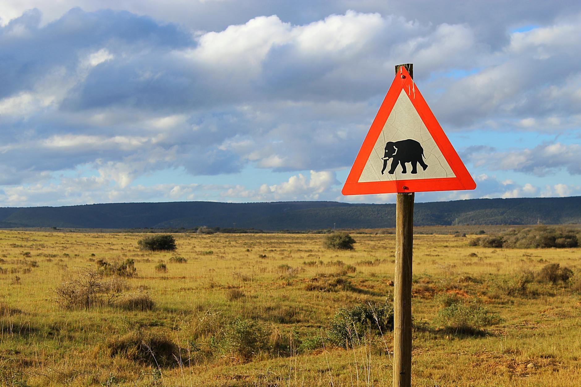 Bezpieczeństwo w RPA: praktyczne zasady dla turystów Znak ostrzegawczy z słoniem na pustkowiu w południowoafrykańskim krajobrazie