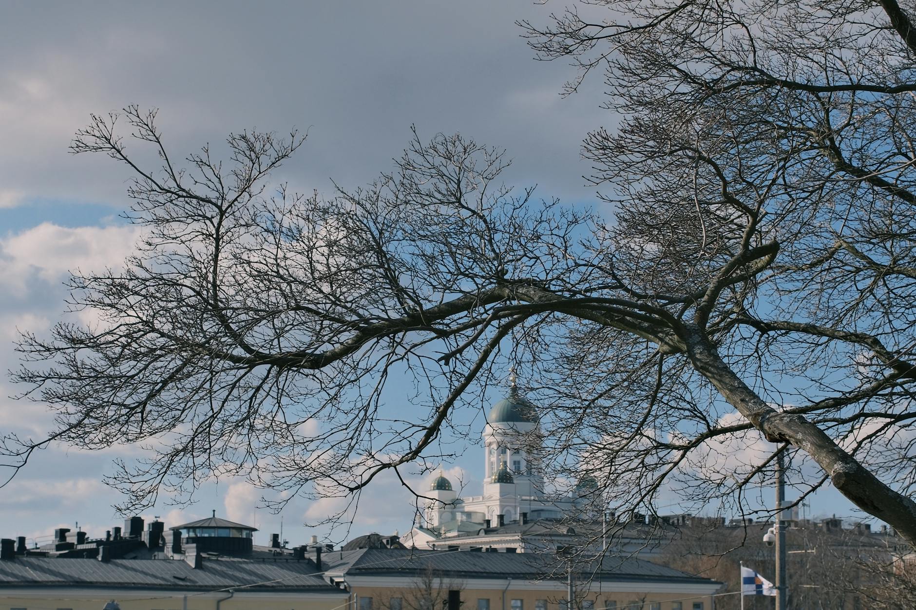 Katedra w Helsinkach zimą widziana przez nagie gałęzie drzew